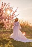 Woman blooming peach orchard. Against the backdrop of a picturesque peach orchard, a woman in a long white dress enjoys a peaceful walk in the park, surrounded by the beauty of nature. photo