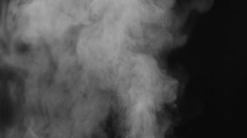 Wasser Dampf auf schwarz Nahansicht. Aussicht von Weiß Wasser Dampf video