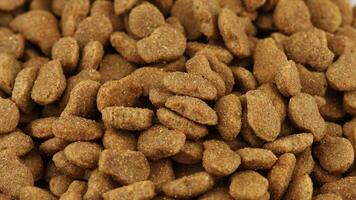 Close-up of cat food. Brown fodder for animals. video