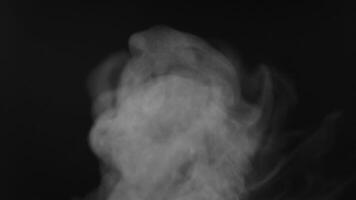 Water vapor on black close-up. White water vapour video