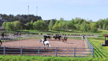 Reiten Ausbildung im öffnen Arena. Pferd und Pferdesport Sport. Frühling, Tiere und Natur, Personen. 4k hoch Qualität . video