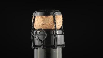 A wine cork on a bottle and a wire isolate a detailed plan. video