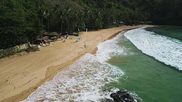 onda e surfer spiaggia nel il Filippine video