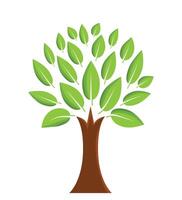 resumen vistoso árbol icono diseño. crecimiento y sabiduría logo diseño. verde árbol icono. vector