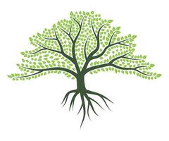 resumen vistoso árbol icono diseño. crecimiento y sabiduría logo diseño. verde árbol icono. vector