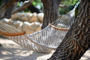 Woman relaxing in a hammock strung between two palm trees, a book in her hand photo