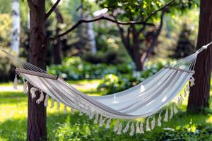 Woman relaxing in a hammock strung between two palm trees, a book in her hand photo