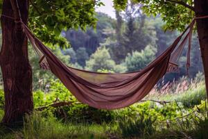 Woman relaxing in a hammock strung between two palm trees, a book in her hand photo