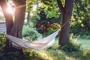 Woman relaxing in a hammock strung between two palm trees, a book in her hand photo