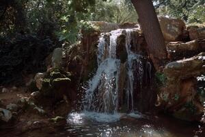 majestuoso cascada cascada abajo cubierto de musgo rocas dentro refrescante piscina abajo foto