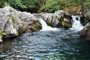 majestuoso cascada cascada abajo cubierto de musgo rocas dentro refrescante piscina abajo foto