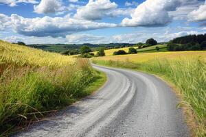 Road trip through country roads, surrounded by fields of sun-kissed crops in the height of summer photo