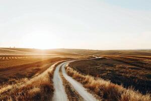 Road trip through country roads, surrounded by fields of sun-kissed crops in the height of summer photo