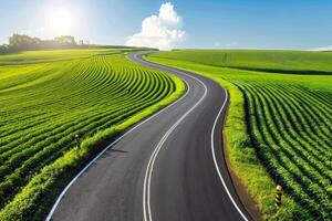la carretera viaje mediante país carreteras, rodeado por campos de besado por el Sol cultivos en el altura de verano foto