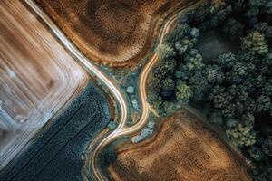 Road trip through country roads, surrounded by fields of sun-kissed crops in the height of summer photo