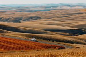 Road trip through country roads, surrounded by fields of sun-kissed crops in the height of summer photo