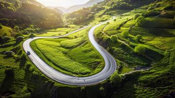 Road trip through country roads, surrounded by fields of sun-kissed crops in the height of summer photo