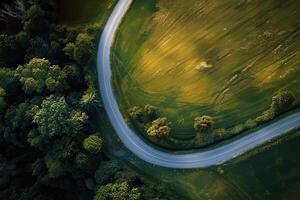 Road trip through country roads, surrounded by fields of sun-kissed crops in the height of summer photo