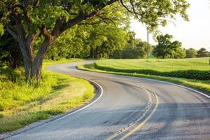 Road trip through country roads, surrounded by fields of sun-kissed crops in the height of summer photo