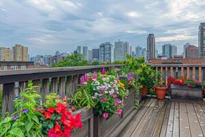 Rooftop garden oasis in the heart of the city, blooming with vibrant flowers and verdant foliage photo