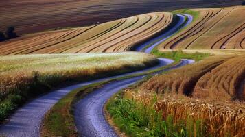 Road trip through country roads, surrounded by fields of sun-kissed crops in the height of summer photo