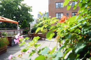 techo jardín oasis en el corazón de el ciudad, floreciente con vibrante flores y verde follaje foto