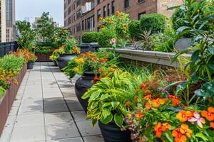 Rooftop garden oasis in the heart of the city, blooming with vibrant flowers and verdant foliage photo