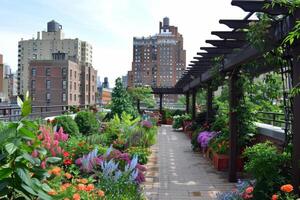 Rooftop garden oasis in the heart of the city, blooming with vibrant flowers and verdant foliage photo