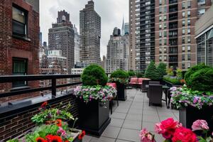 Rooftop garden oasis in the heart of the city, blooming with vibrant flowers and verdant foliage photo