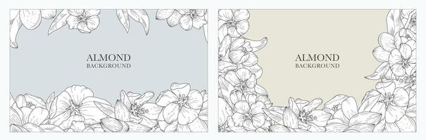 un colección de Exquisito antecedentes, en un botánico estilo presentando floreciente almendra y nueces. lujoso dibujado a mano flores adecuado para Boda y evento decoraciones, tarjetas, huellas dactilares, pancartas vector