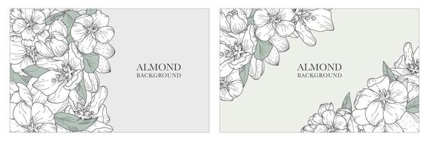 A collection of exquisite backgrounds, in a botanical style featuring blooming almond and nuts. Luxurious hand-drawn flowers. Suitable for wedding and event decorations, cards, prints, banners vector