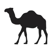 camello con silueta vector