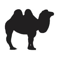 camel with silhouette vector