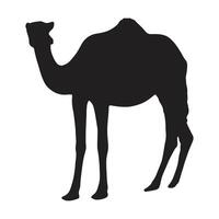 camel with silhouette vector