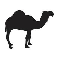 camel with silhouette vector