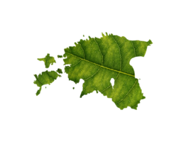 Estonia map made of green leaves ecology concept png