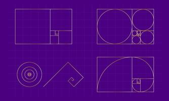 Set of various geometric shapes with ideal mathematical proportions of the golden ratio vector
