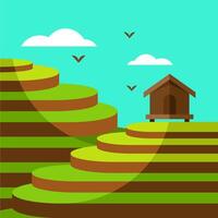 Traditional asian bali island rice terrace agricultural landscape illustration vector