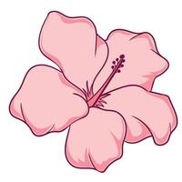 mano dibujado hibisco flor vector
