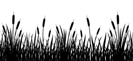 Black silhouette of cattail border in tall grass. Seamless reed border. Swamp grass for design vector