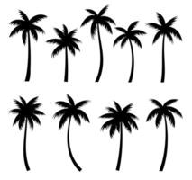 palma arboles siluetas verano colocar. palma arboles aislado en blanco antecedentes. vector