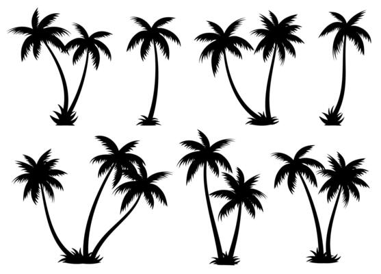 Palm trees silhouettes summer set. Palm trees isolated on white background.