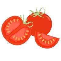 Red tomato, tomato sliced illustration on a white background vector