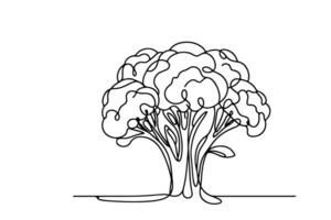 one continuous line drawing of broccoli on isolated transparent background vector