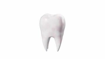 Human tooth model, tooth with plaque, unhealthy tooth, alpha channel, 3d rendering. video