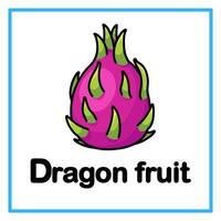 dragon fruit alphabet illustration vector