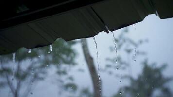 gouttes de pluie Cascade de une blanc gouttière, reflétant le tranquille essence de une pluvieux jour, avec flou des arbres La peinture une serein toile de fond video