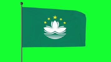3D Illustration of the Macau Regional Flag is a green flag with five stars, lotus flower, bridge and seawater. video