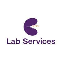 lab services flat modern logo vector