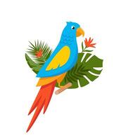 Parrot and tropical leaves, beautiful floral exotic background. vector